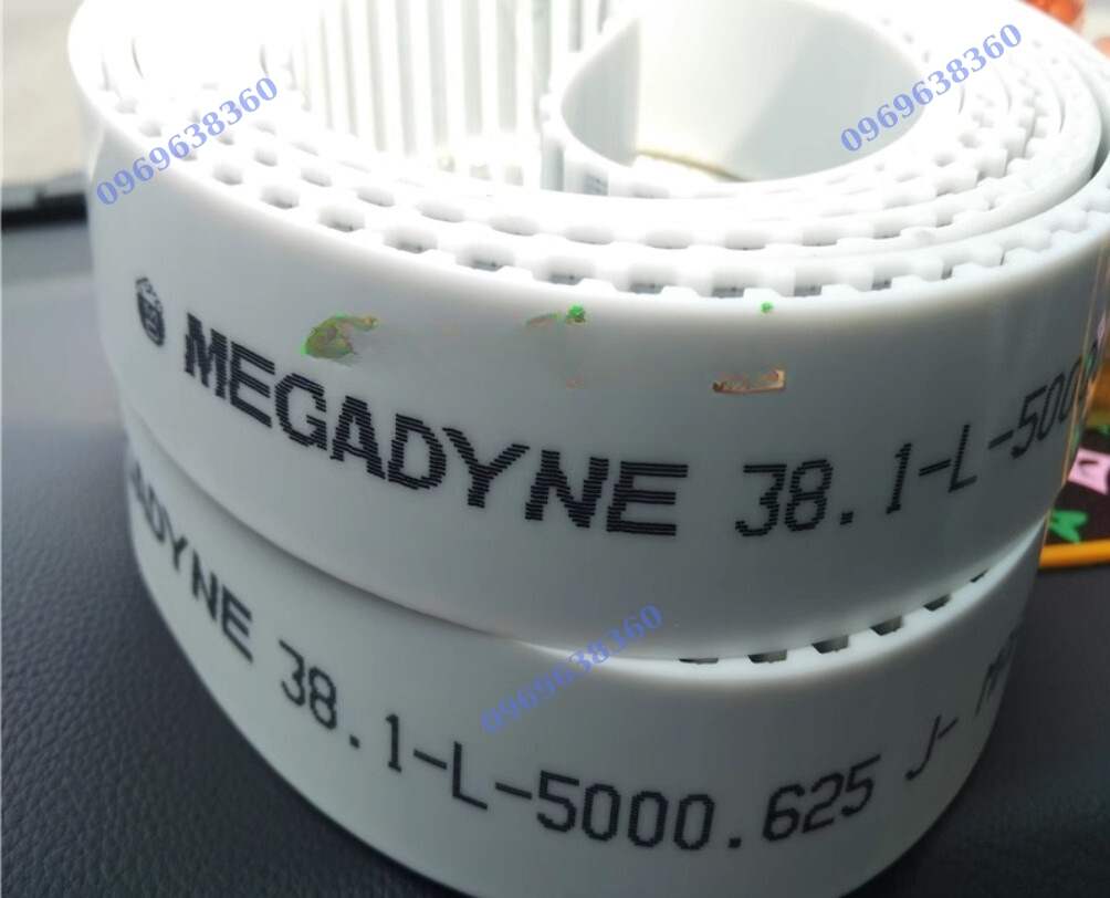 DÂY CUROA RĂNG L XL XXL PU LÕI THÉP